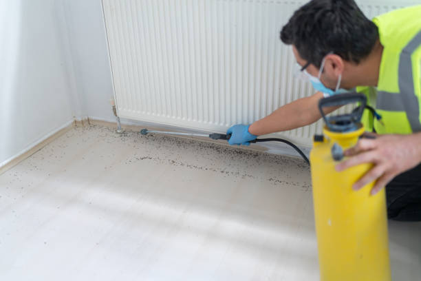 Best Cockroach Control Services  in Boiling Springs, SC